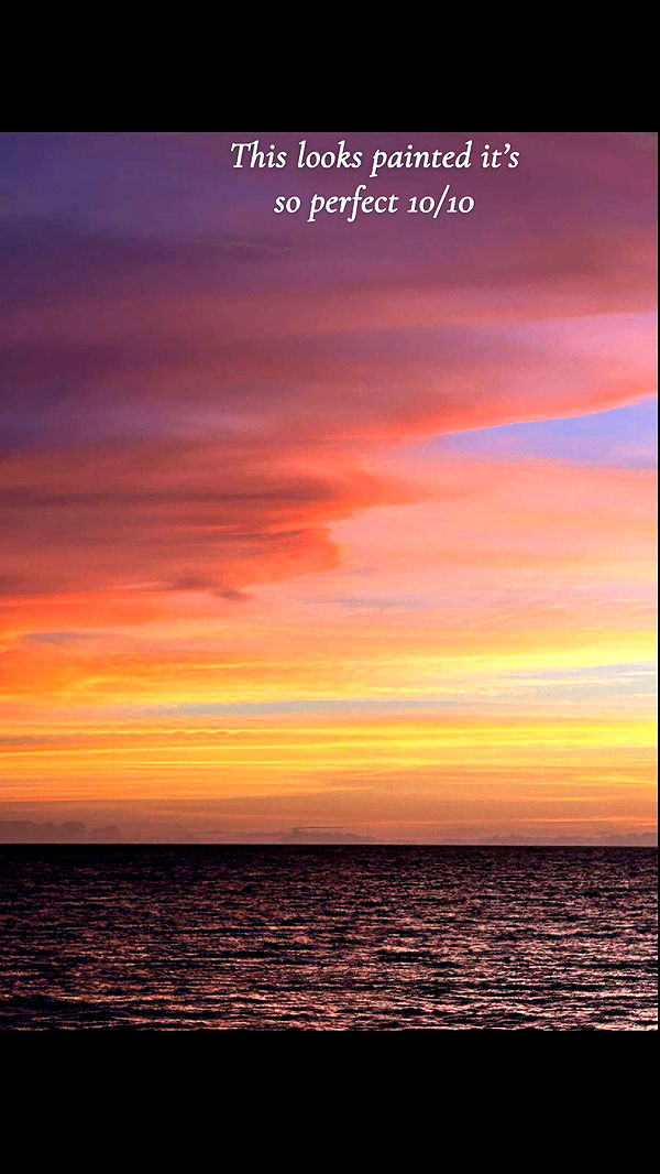 soph4ocean image ~ Altpins