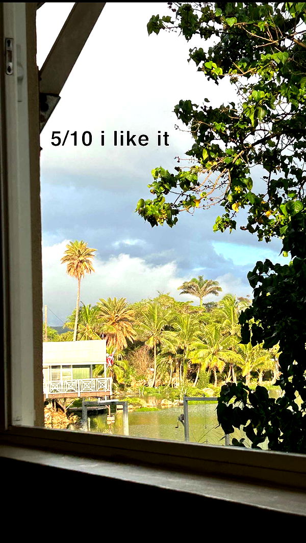 soph4ocean image ~ Altpins