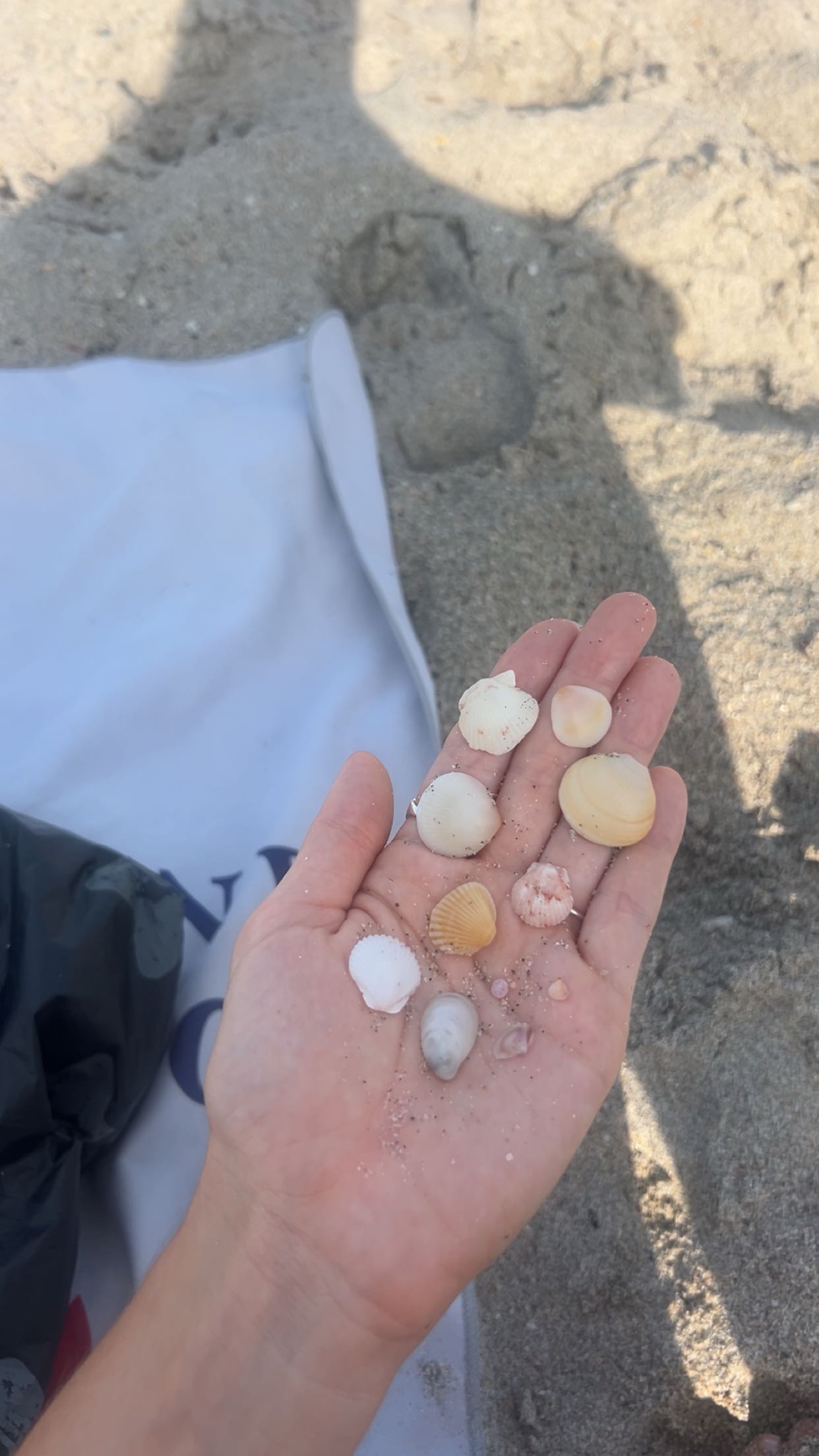 soph4ocean snapchat image archive image