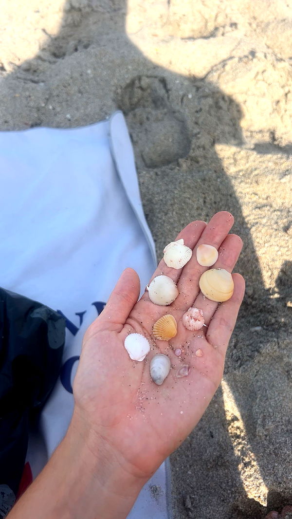 soph4ocean image ~ Altpins