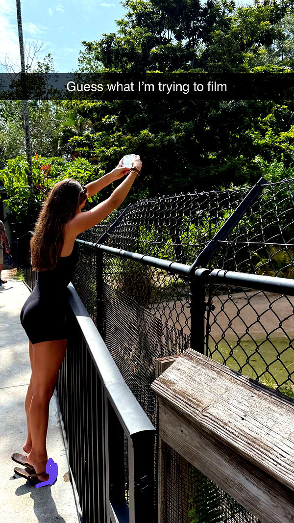 soph4ocean image ~ Altpins