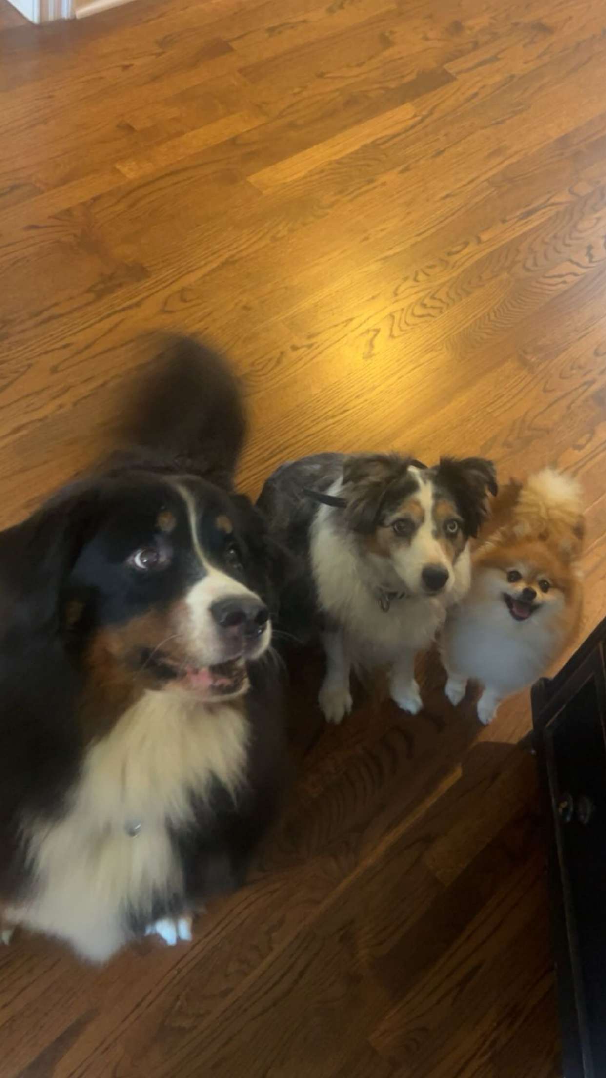 soph4ocean snapchat image archive image