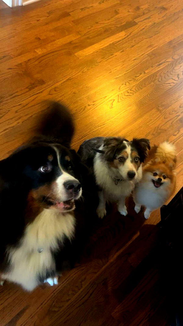 soph4ocean image ~ Altpins