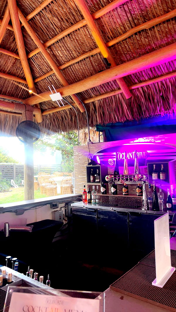 soph4ocean image ~ Altpins