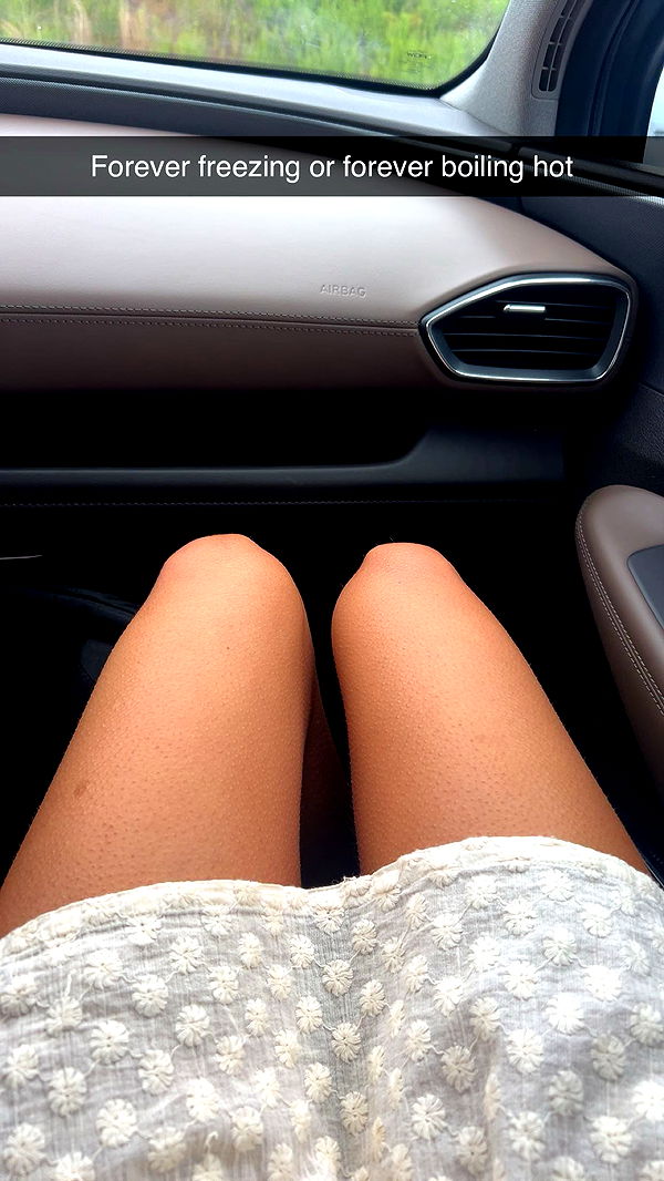 soph4ocean image ~ Altpins