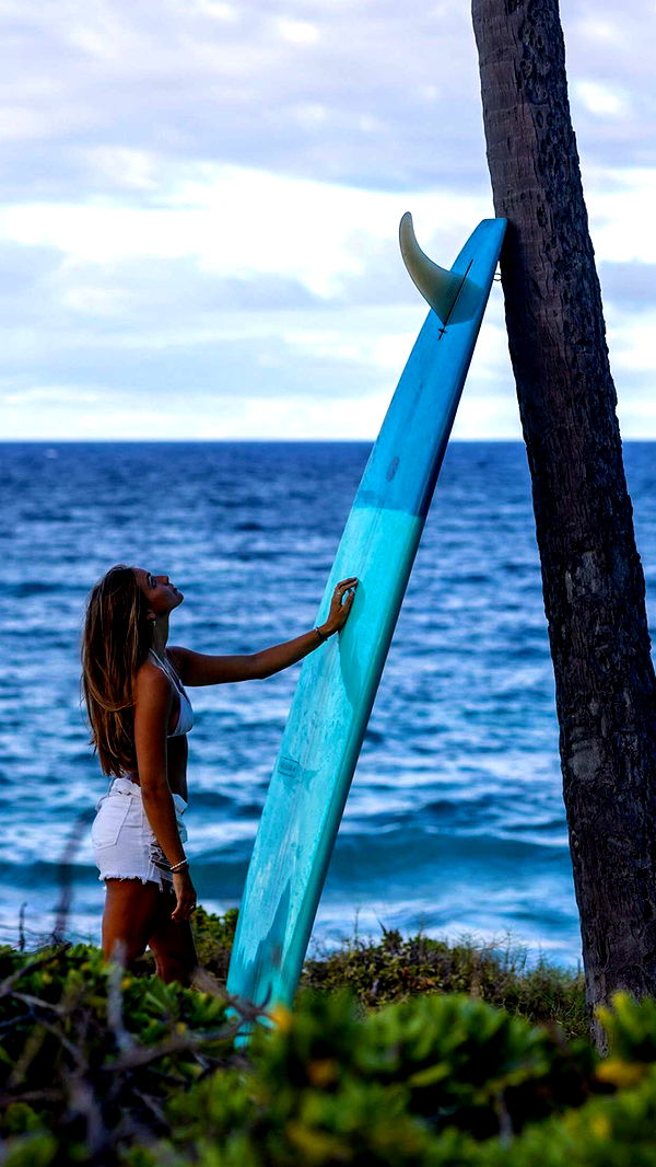 soph4ocean image ~ Altpins