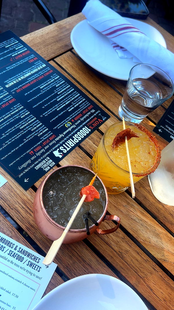 soph4ocean image ~ Altpins