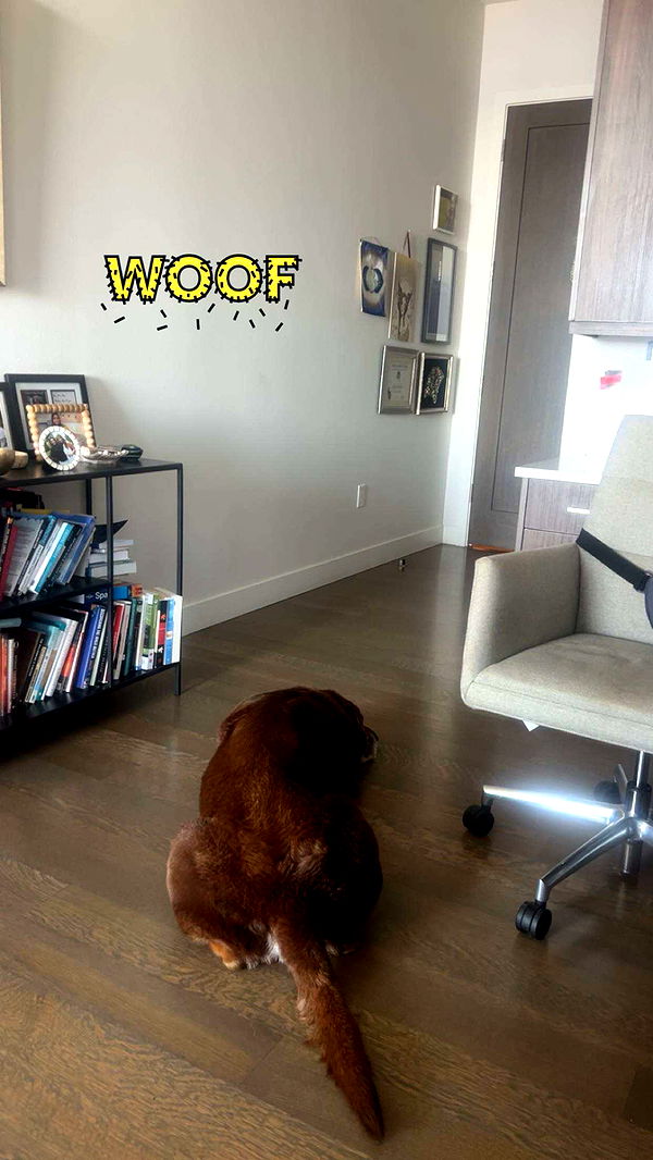 soph4ocean image ~ Altpins