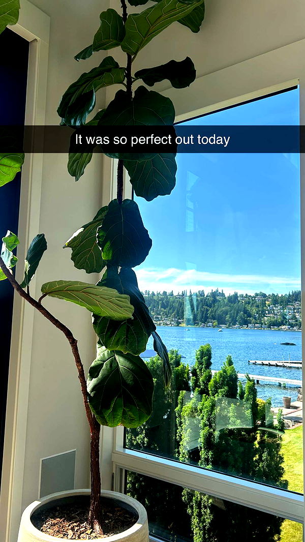 soph4ocean image ~ Altpins