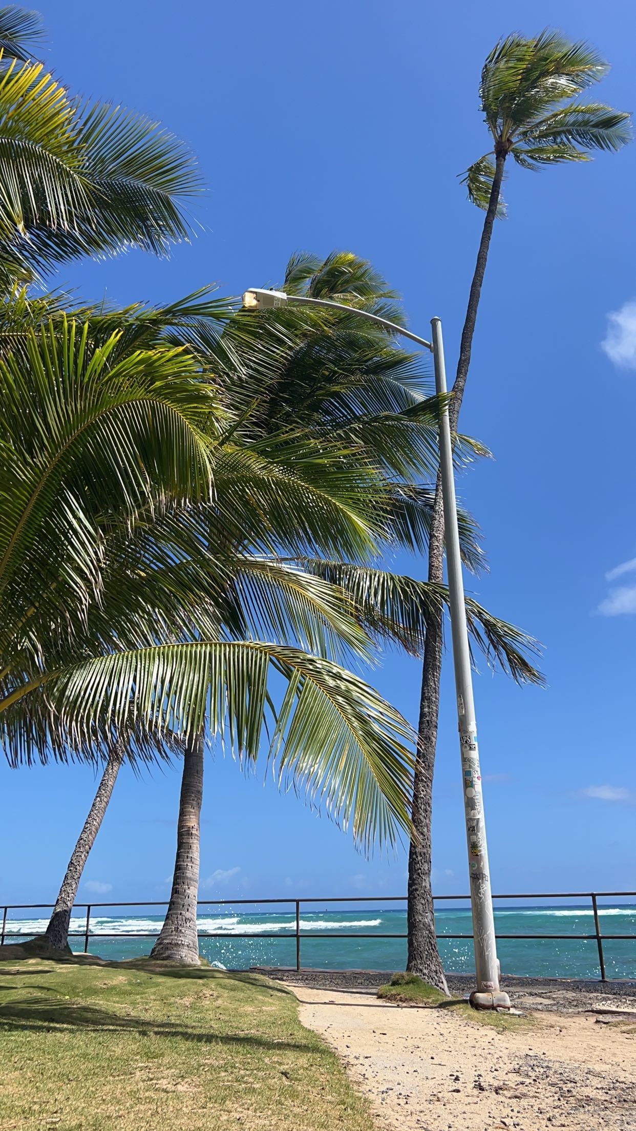 soph4ocean snapchat image archive image