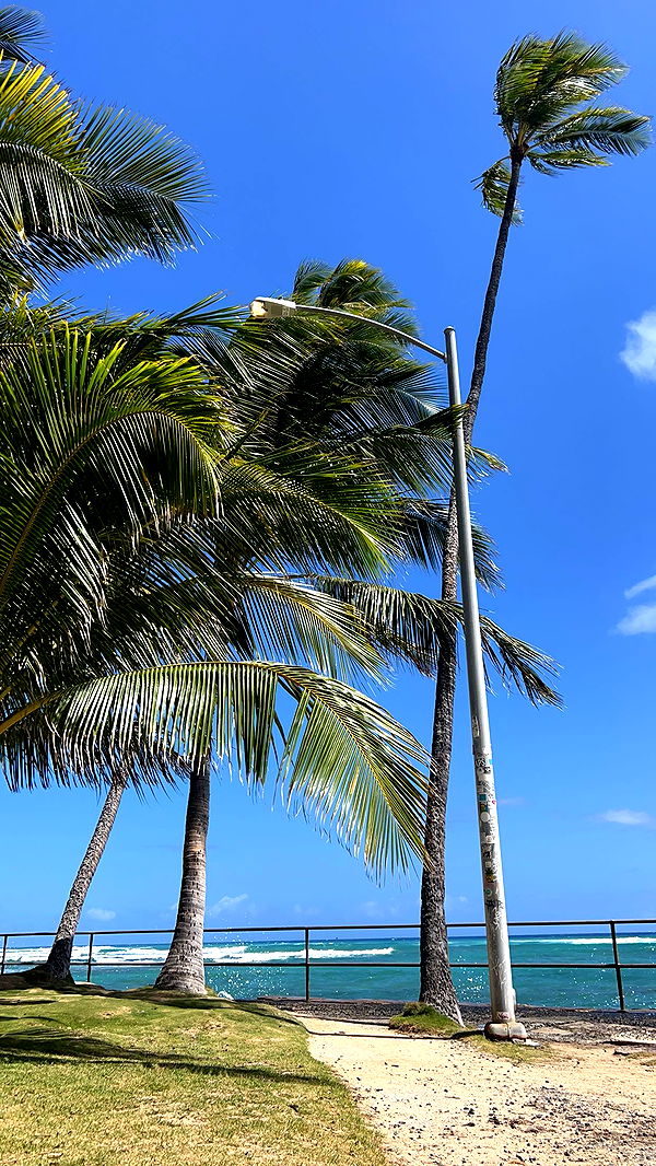 soph4ocean image ~ Altpins