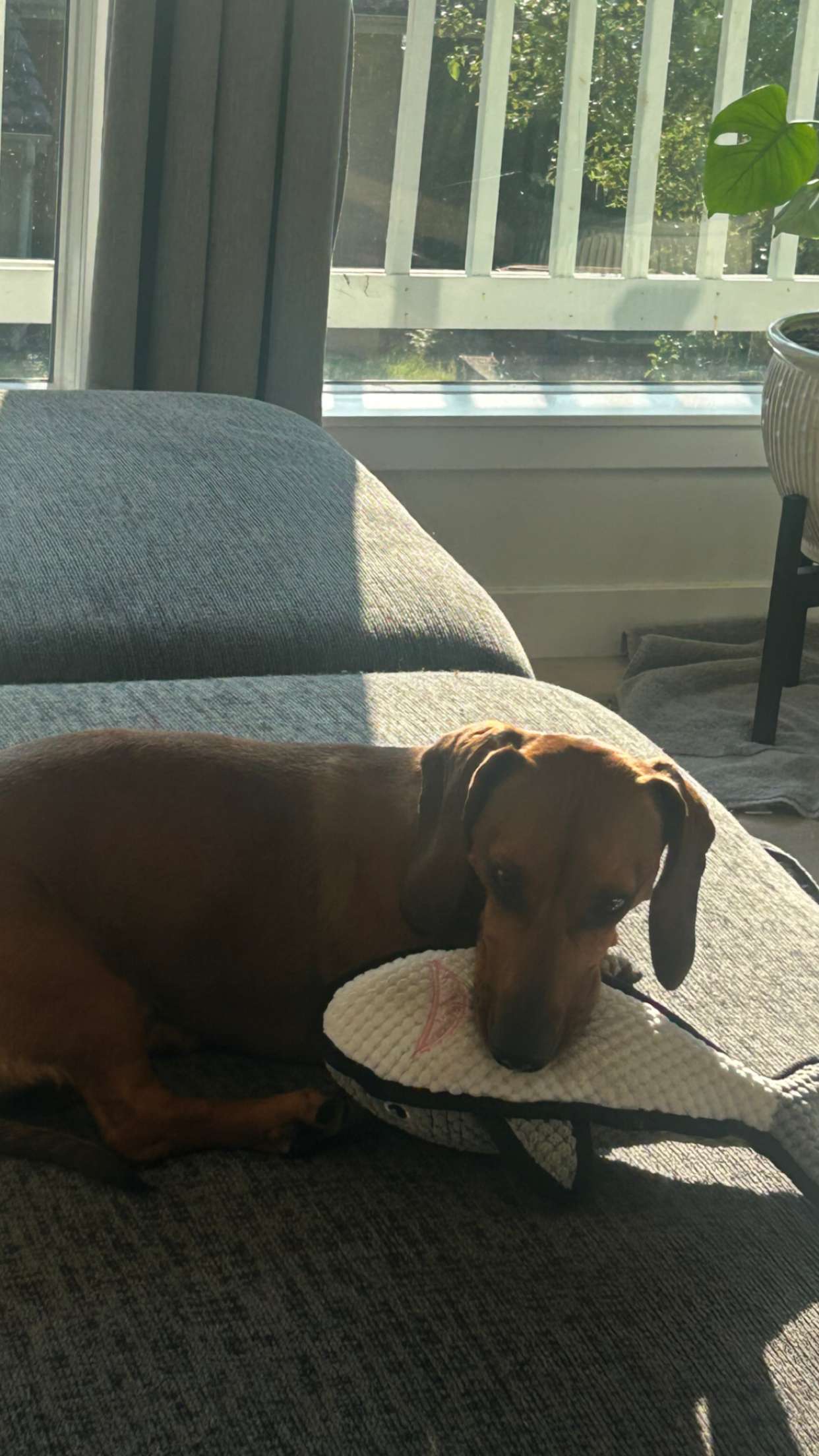 soph4ocean snapchat image archive image