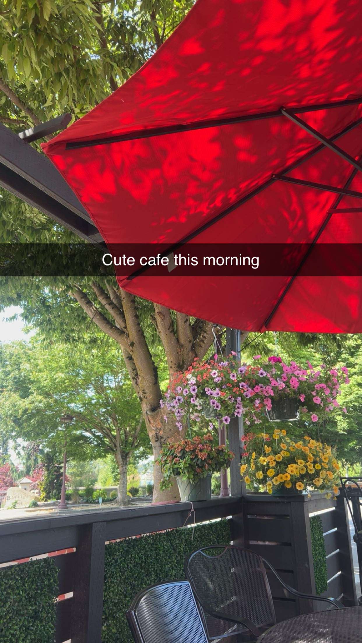 soph4ocean snapchat image archive image