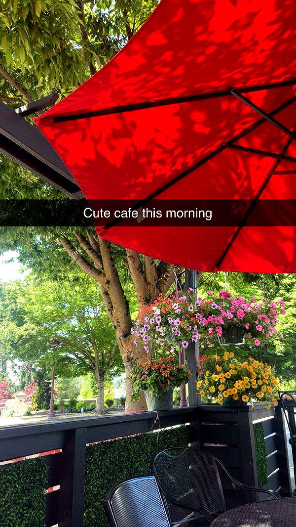 soph4ocean image ~ Altpins