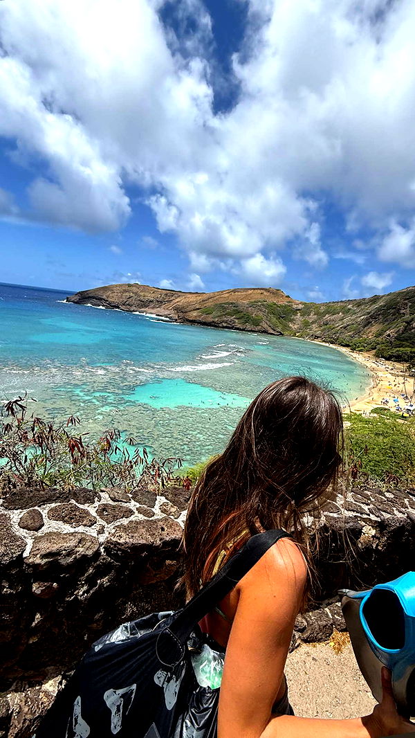 soph4ocean image ~ Altpins