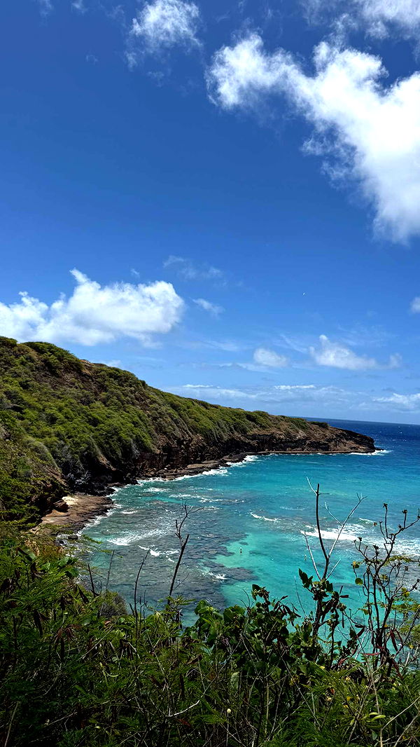 soph4ocean image ~ Altpins