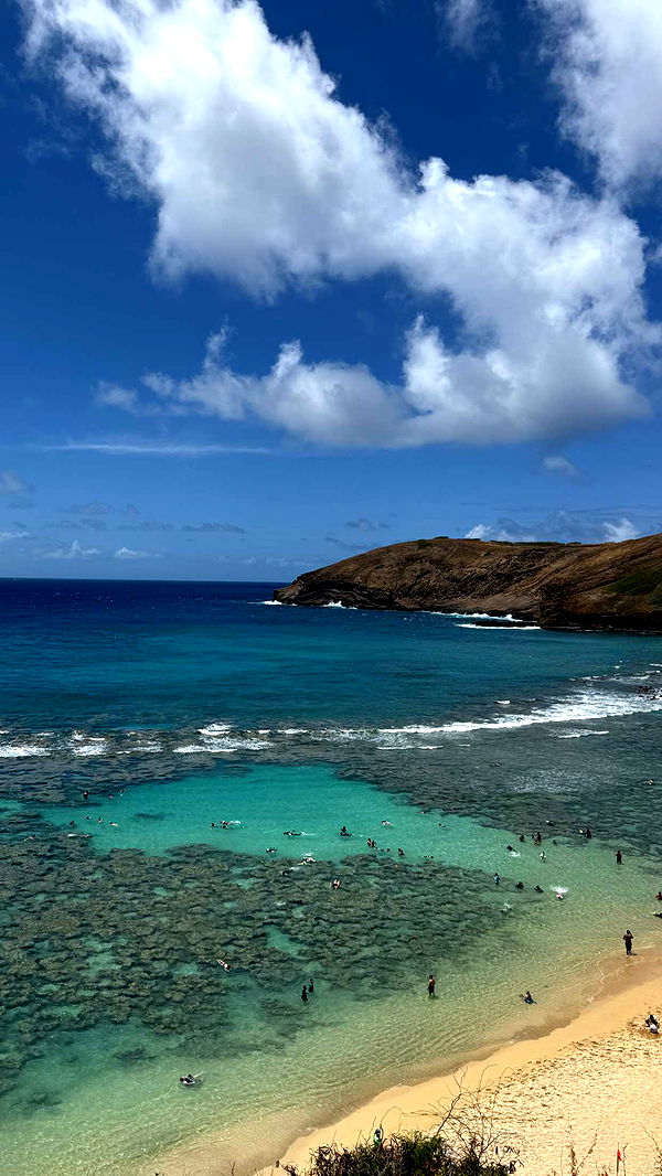 soph4ocean image ~ Altpins