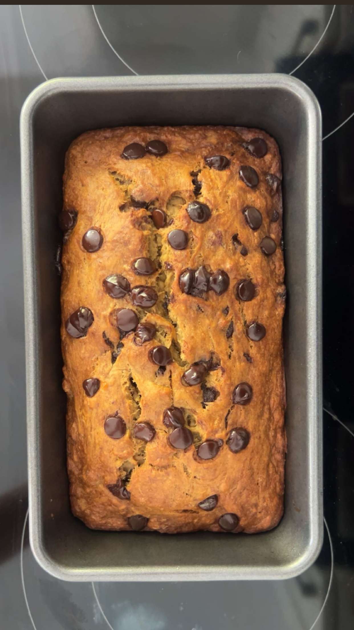 soph4ocean snapchat image archive image