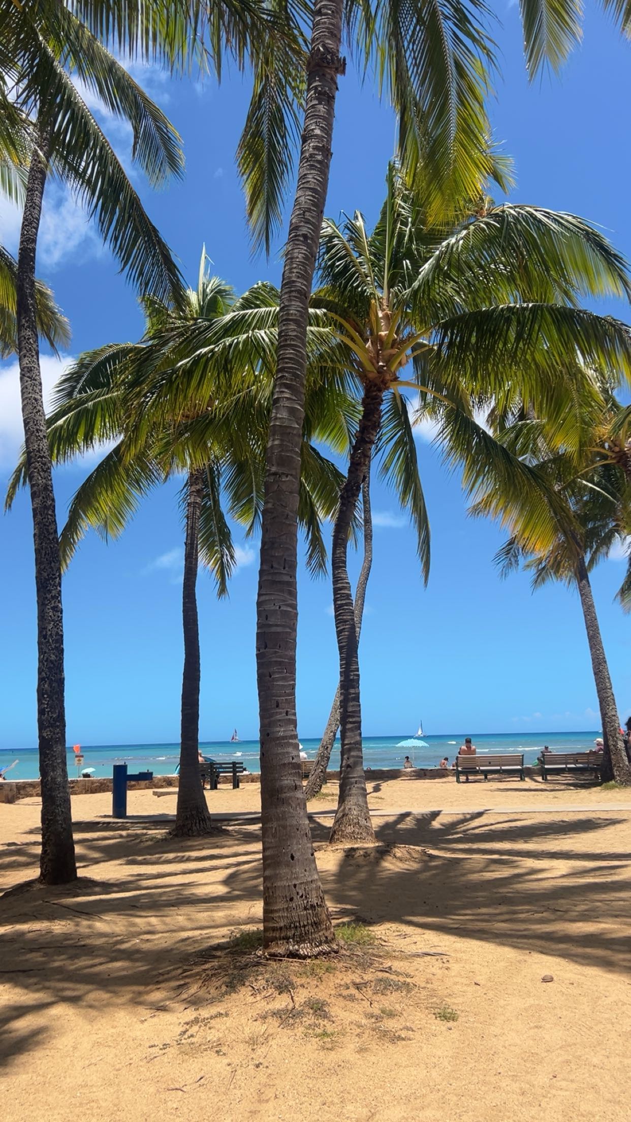 soph4ocean snapchat image archive image