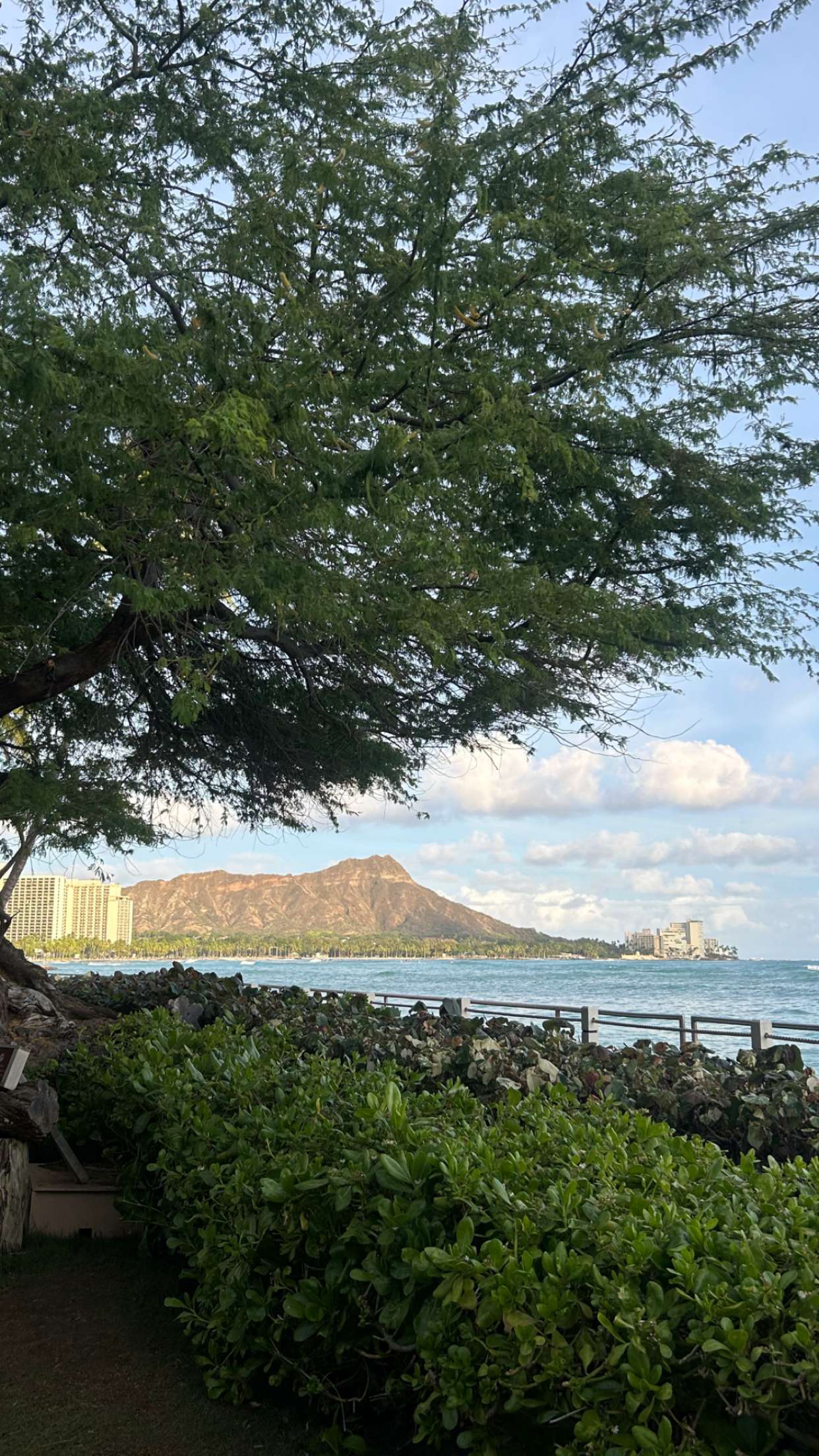 soph4ocean snapchat image archive image