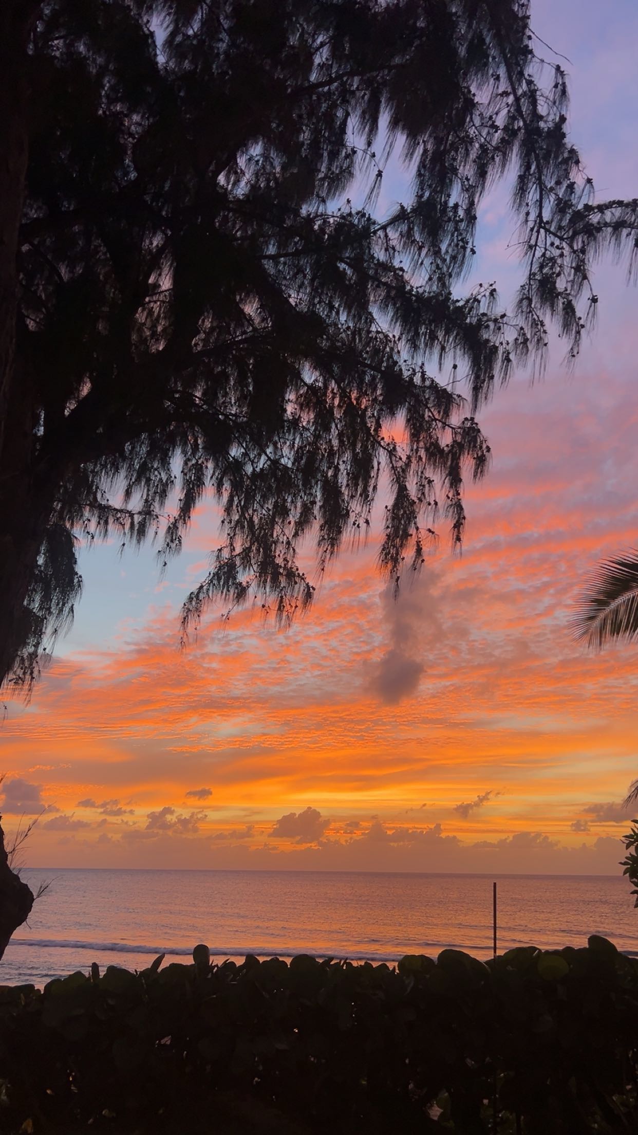 soph4ocean snapchat image archive image