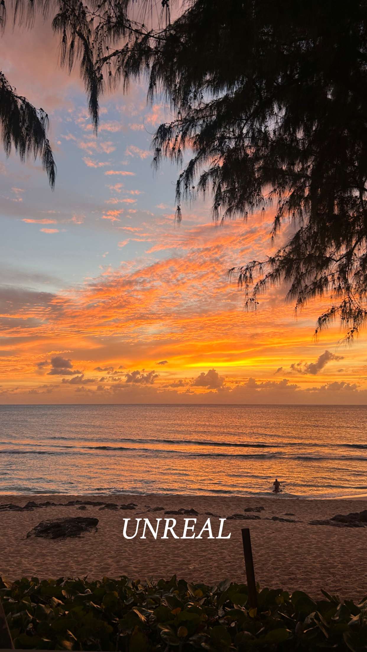 soph4ocean snapchat image archive image