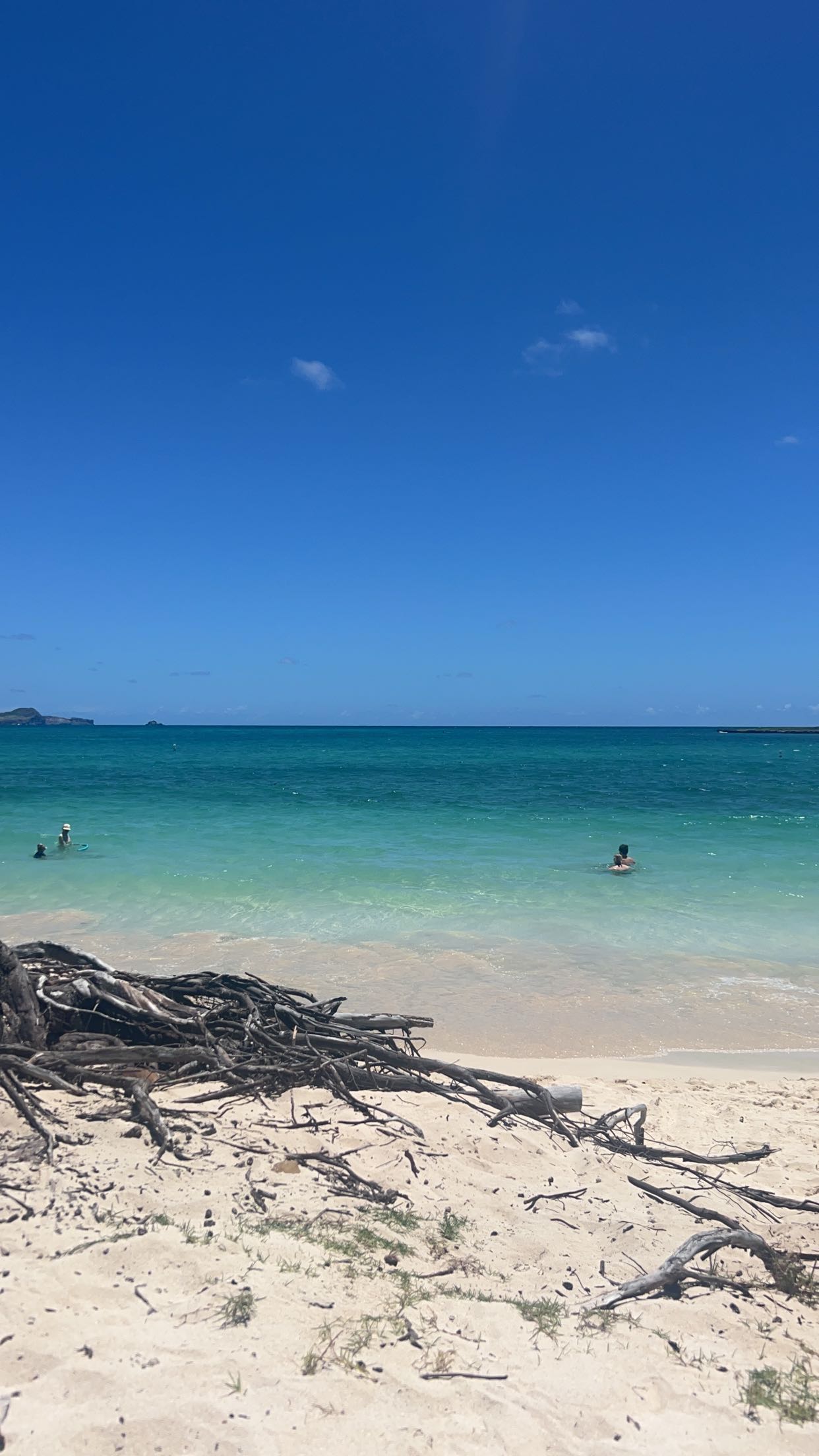 soph4ocean snapchat image archive image