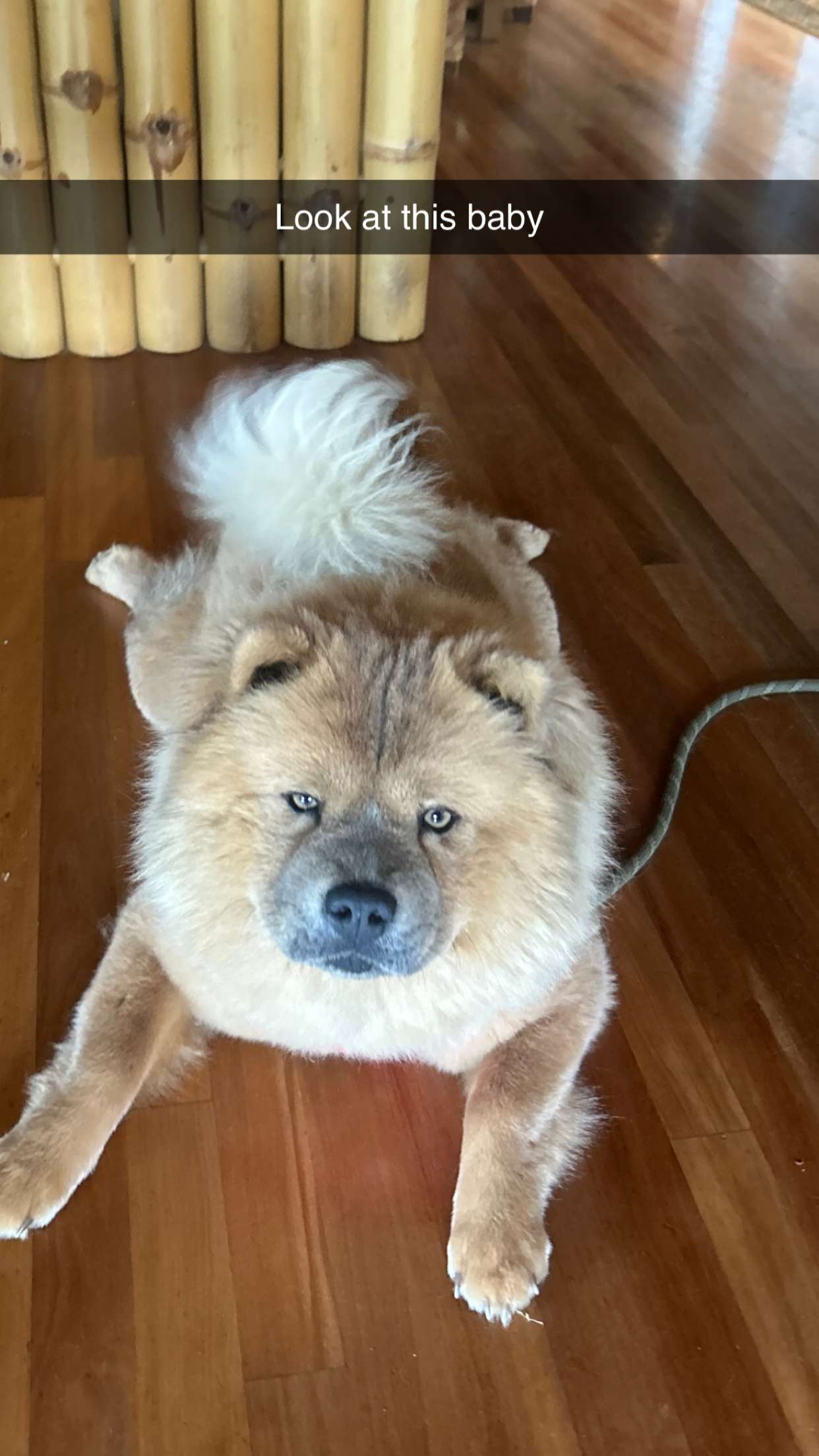 soph4ocean snapchat image archive image