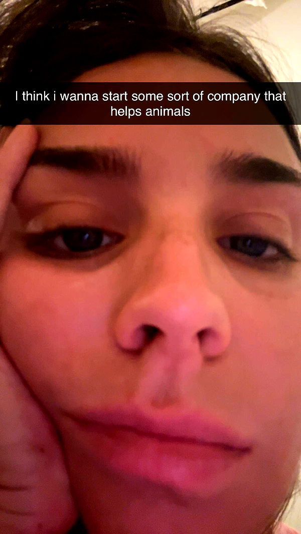 soph4ocean image ~ Altpins