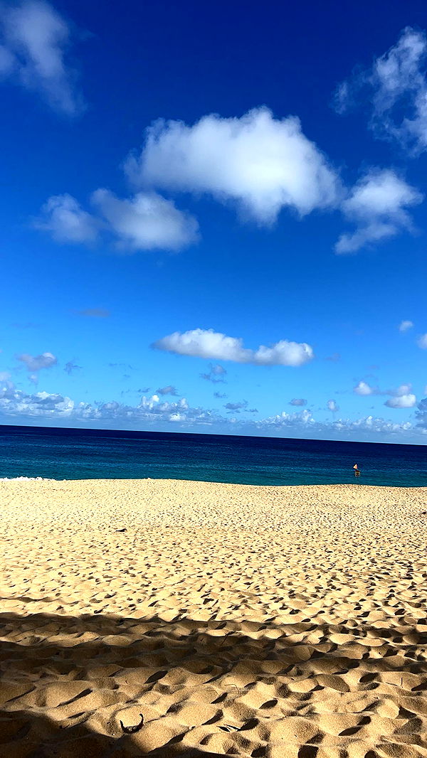 soph4ocean image ~ Altpins