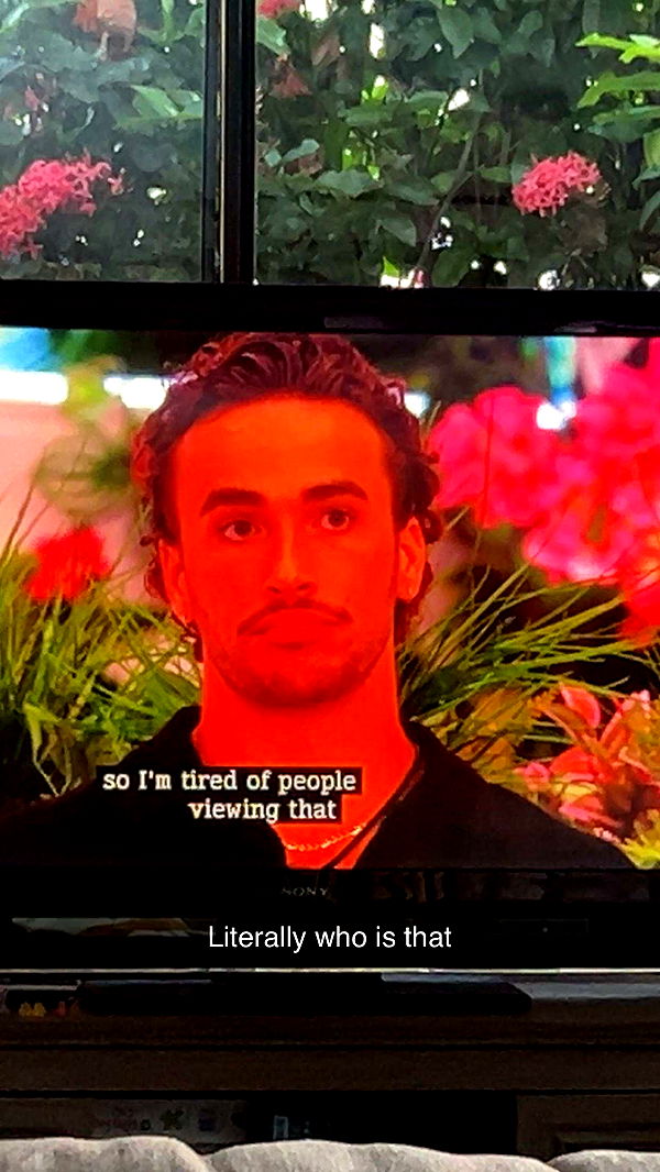 soph4ocean image ~ Altpins