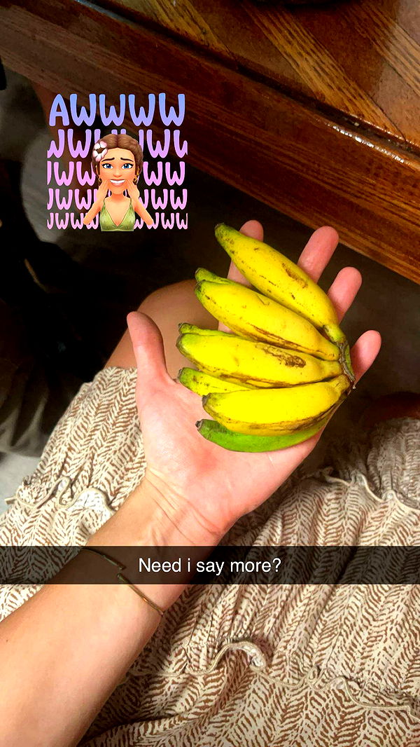 soph4ocean image ~ Altpins