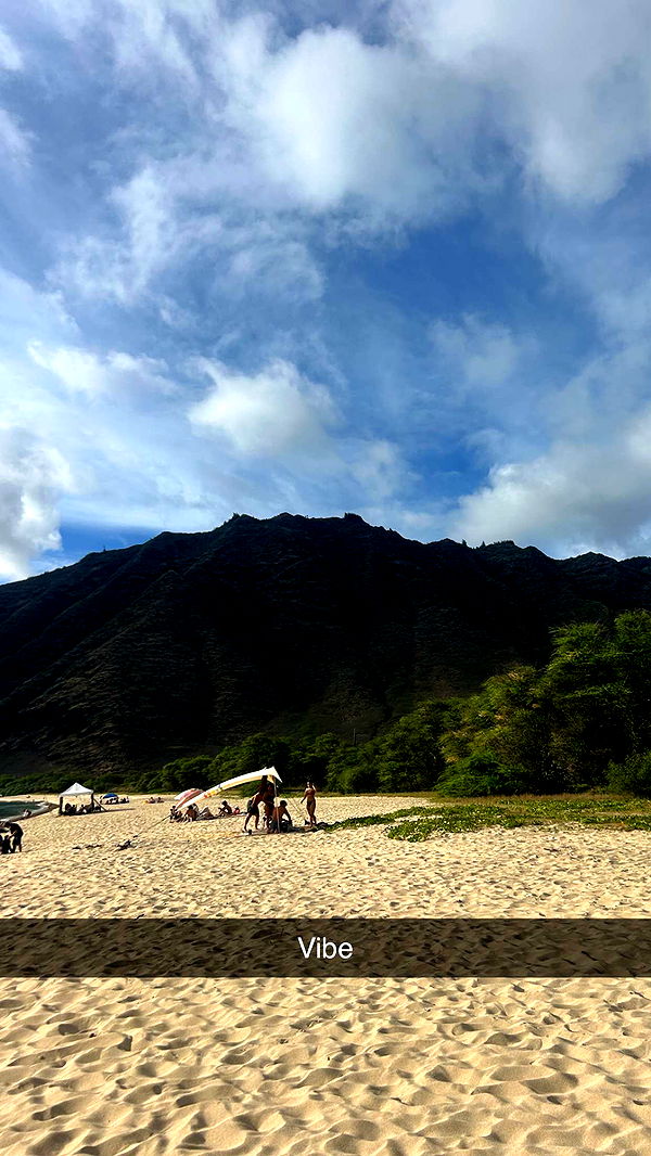 soph4ocean image ~ Altpins