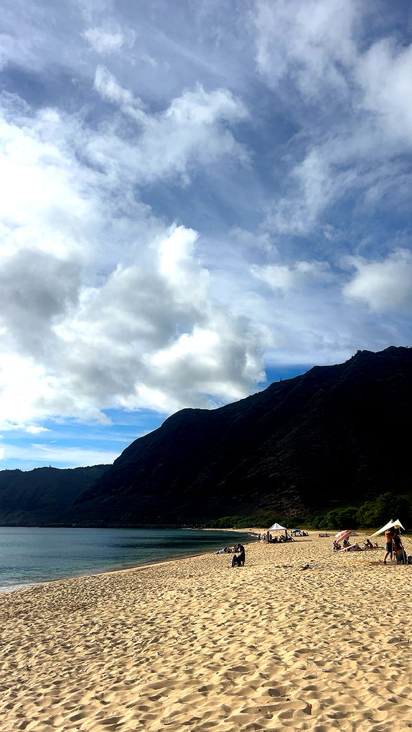 soph4ocean image ~ Altpins