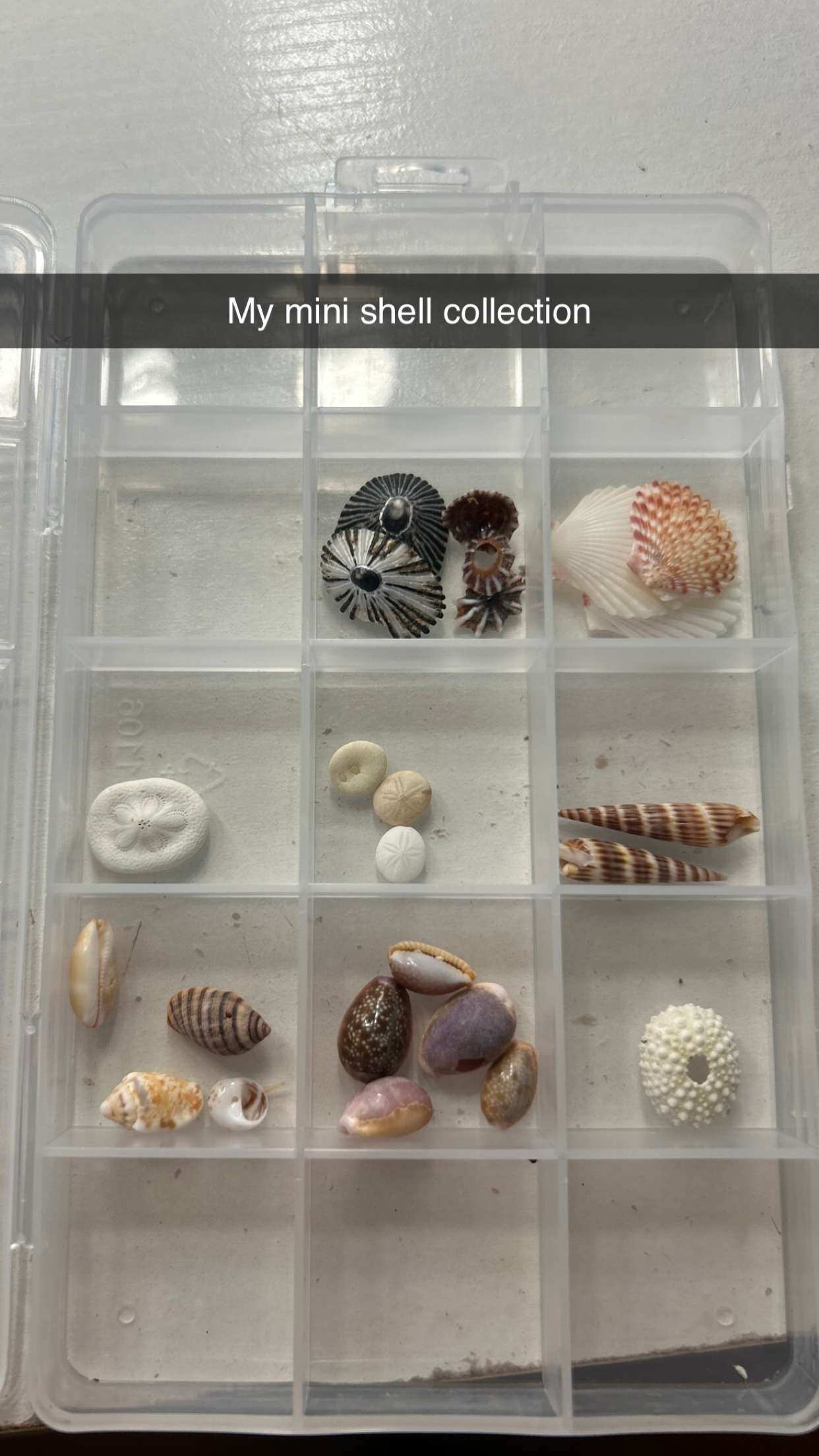 soph4ocean snapchat image archive image