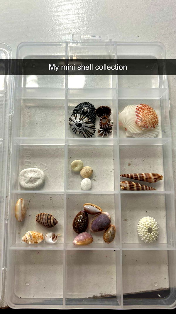 soph4ocean image ~ Altpins