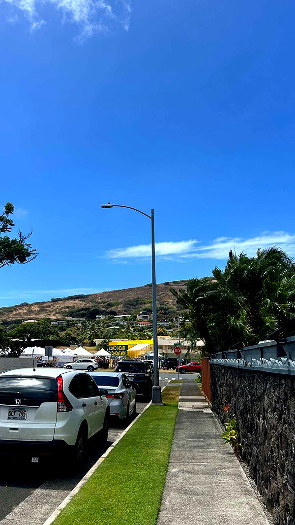 soph4ocean image ~ Altpins