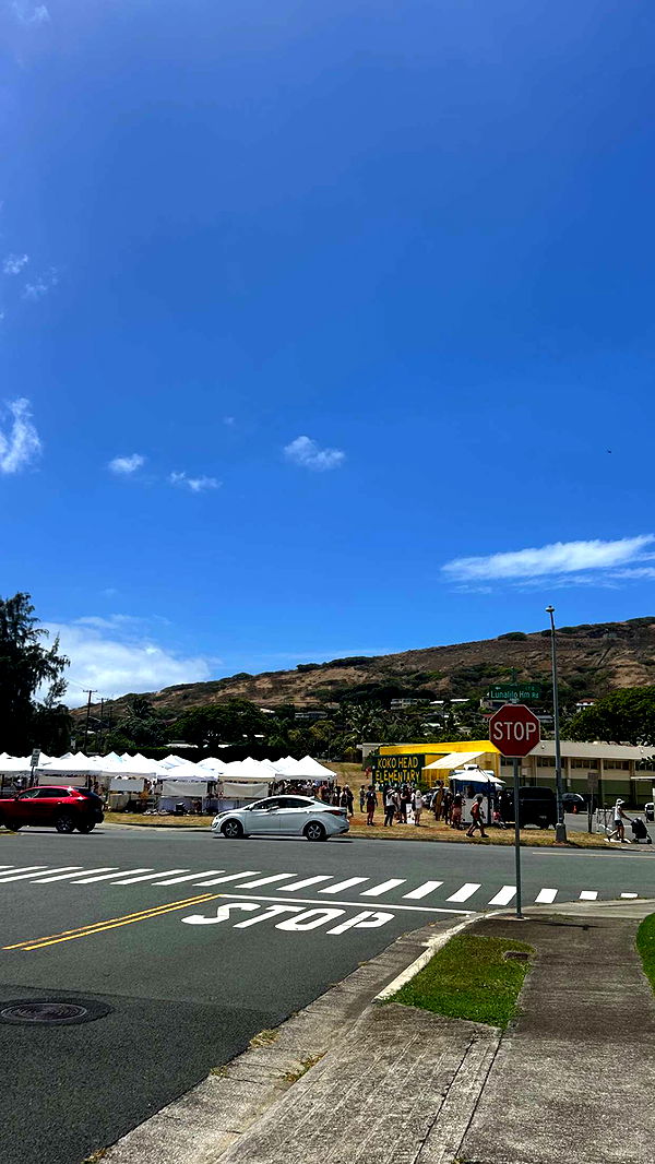 soph4ocean image ~ Altpins