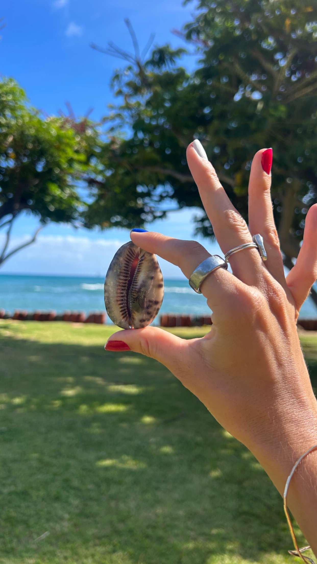 soph4ocean snapchat image archive image