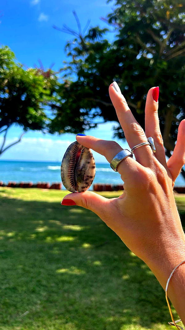 soph4ocean image ~ Altpins