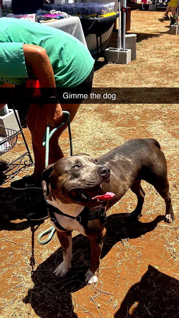 soph4ocean image ~ Altpins