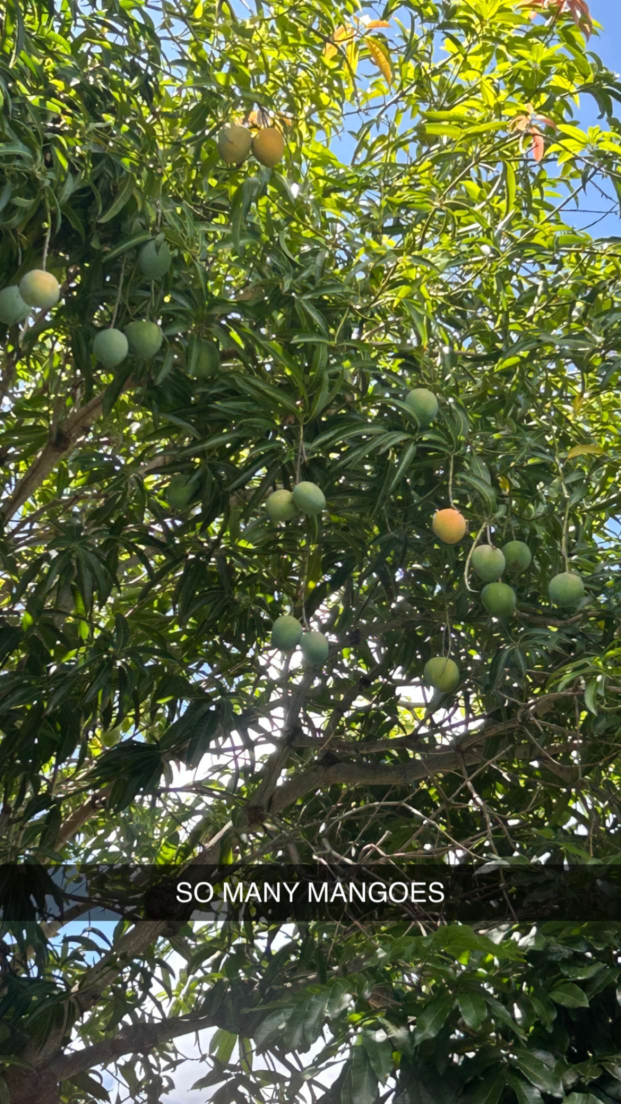 soph4ocean snapchat image archive image