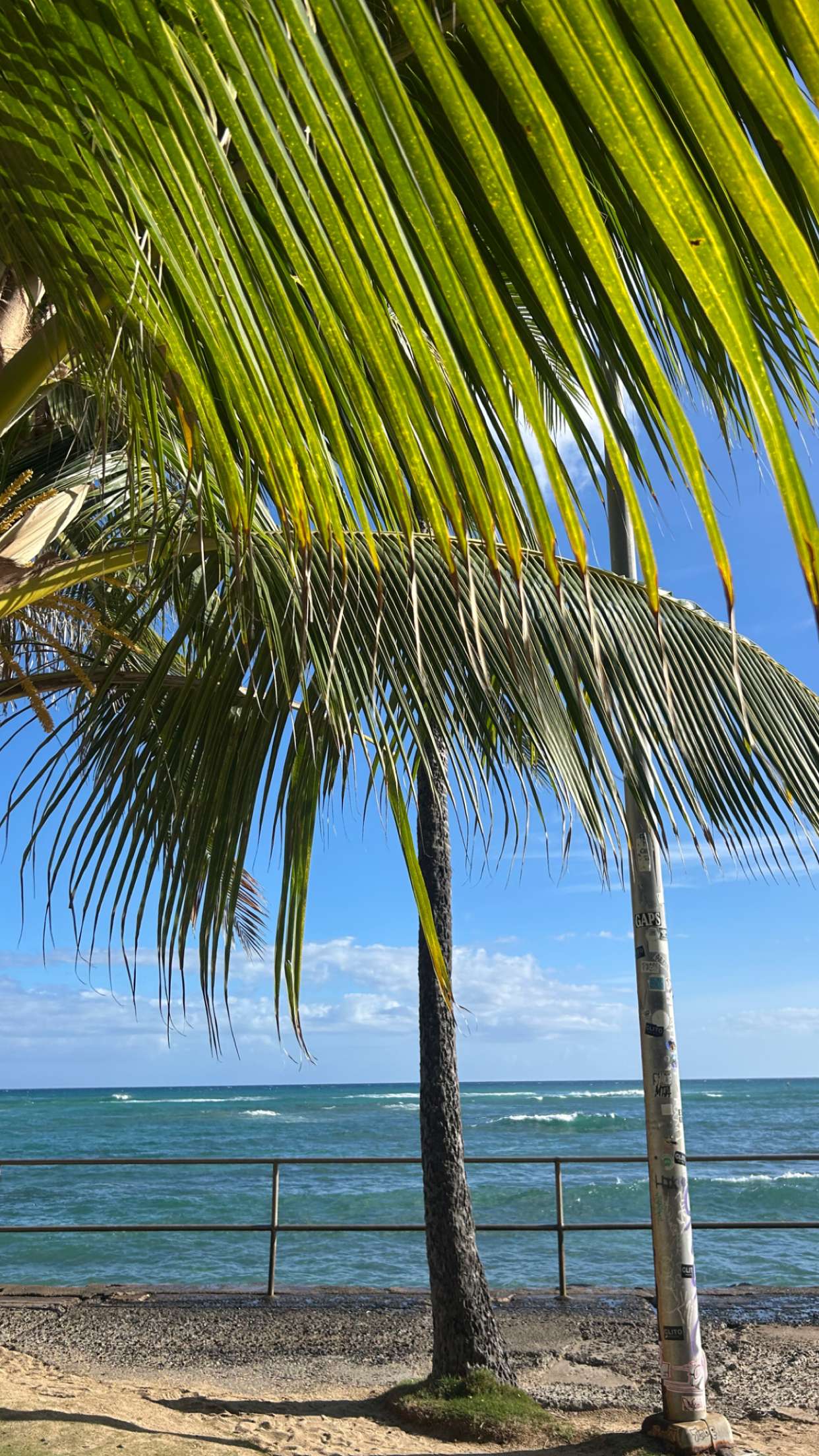 soph4ocean snapchat image archive image