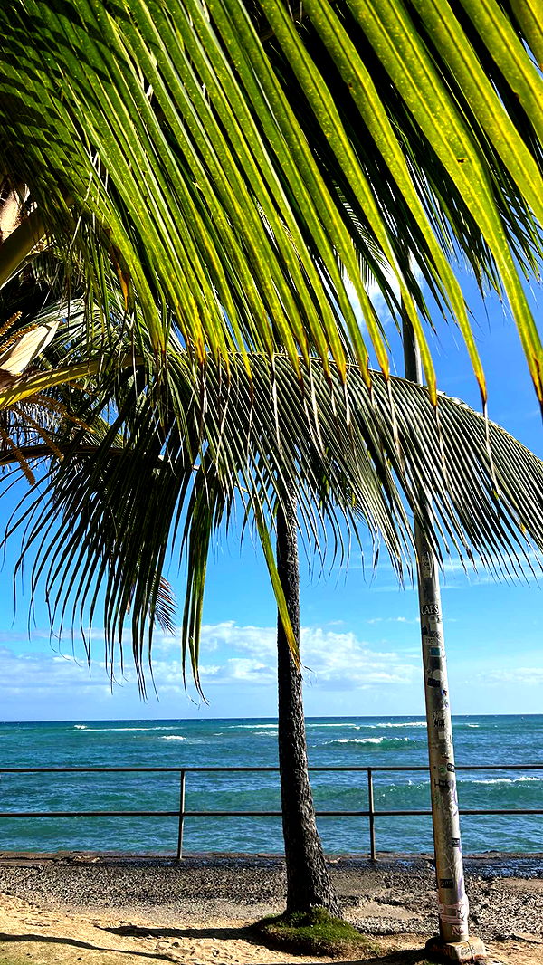 soph4ocean image ~ Altpins