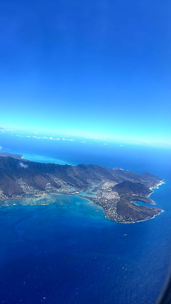 soph4ocean image ~ Altpins