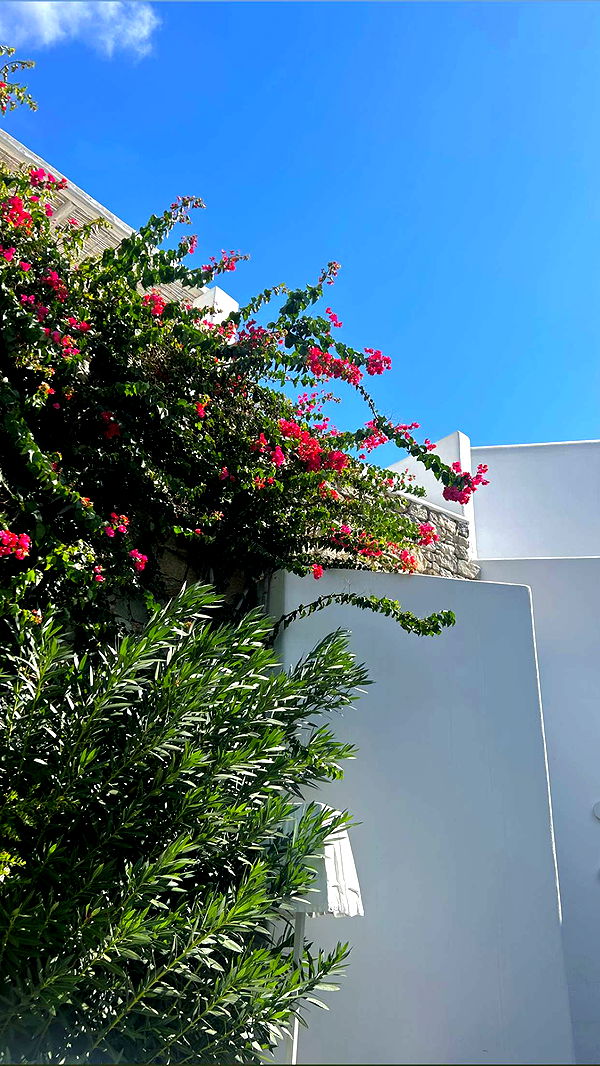 soph4ocean image ~ Altpins