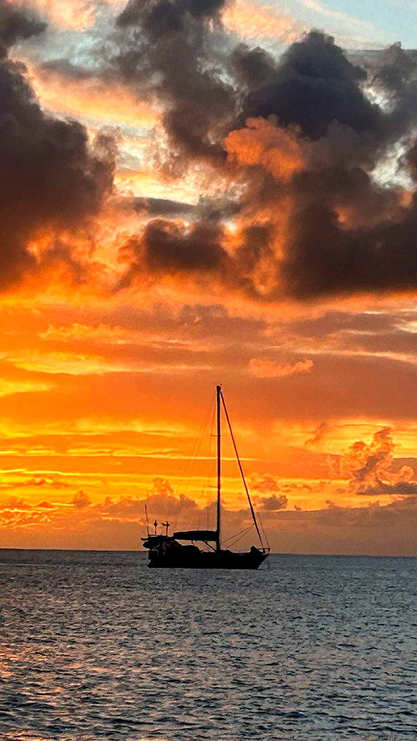 soph4ocean image ~ Altpins