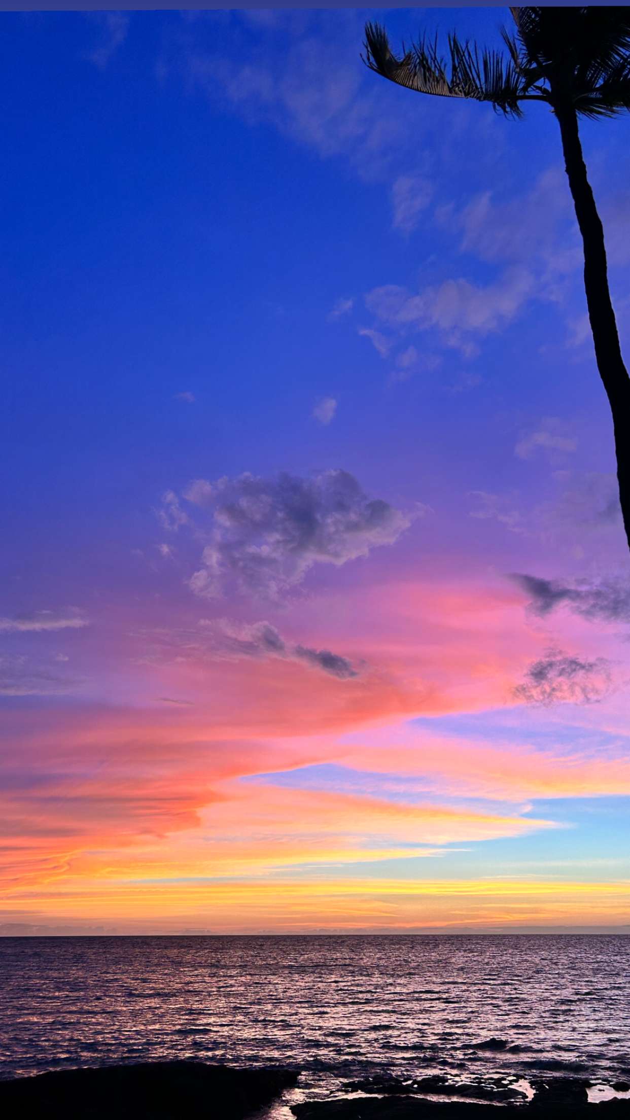 soph4ocean snapchat image archive image