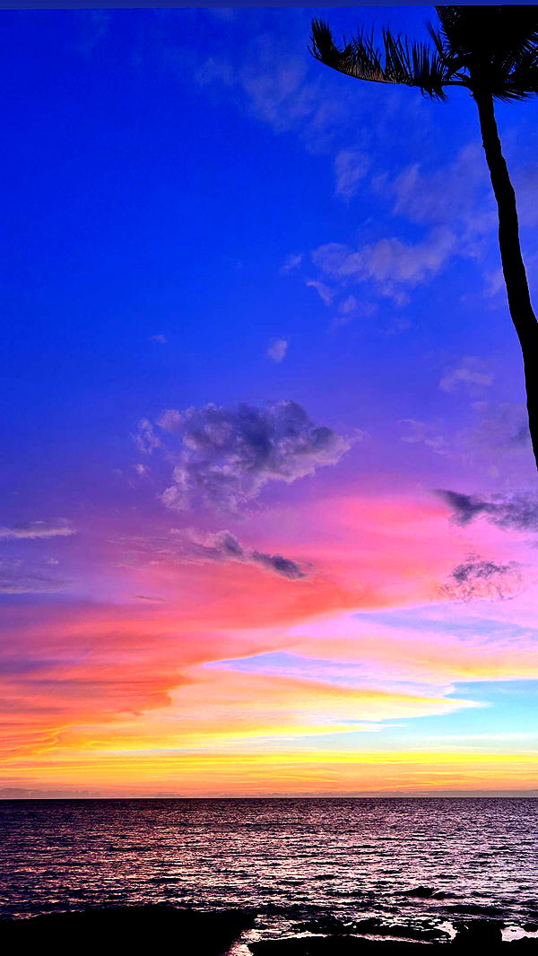 soph4ocean image ~ Altpins