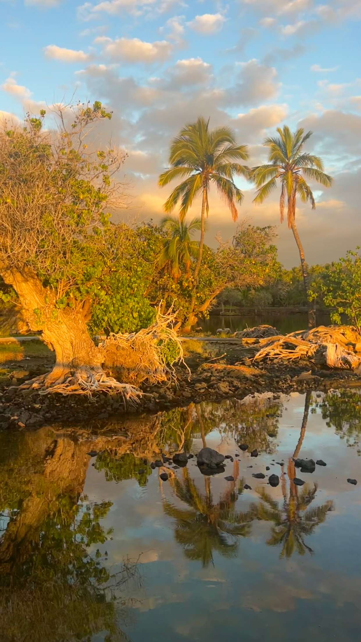 soph4ocean snapchat image archive image